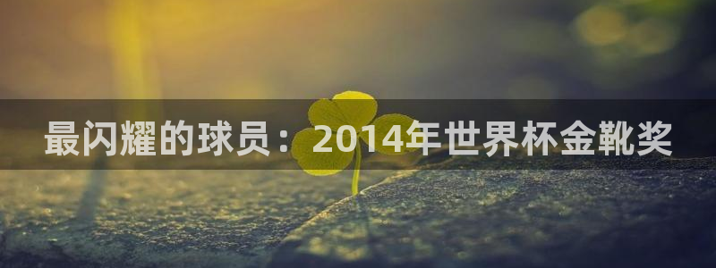 2026世界杯赛程表完整版：最闪耀的球员：2014年世界杯金靴奖