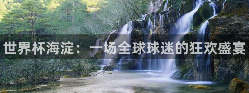 世界杯直播免费观看：世界杯海淀：一场全球球迷的狂欢盛宴