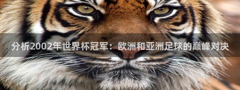世界杯直播平台：分析2002年世界杯冠军：欧洲和亚洲足球的巅峰对决