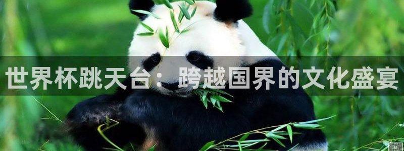 世界杯附加赛赛程表：世界杯跳天台：跨越国界的文化盛宴