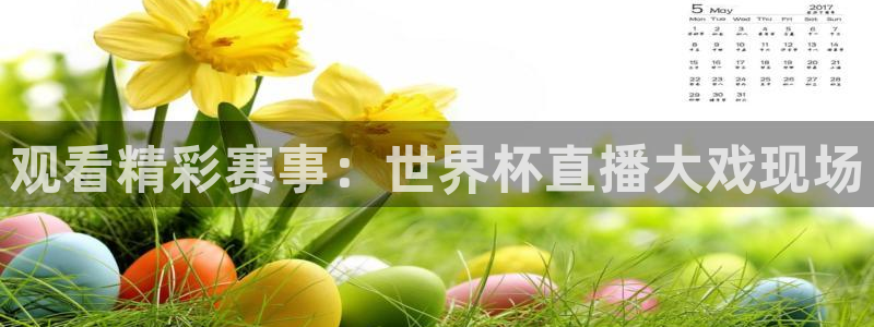 世界杯视频：观看精彩赛事：世界杯直播大戏现场
