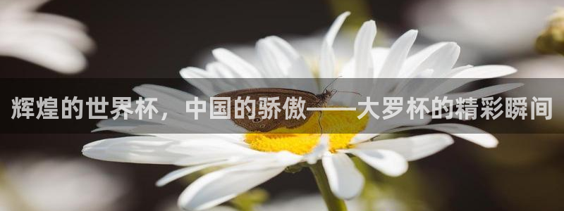 英足总杯直播：辉煌的世界杯，中国的骄傲——大罗杯的精彩瞬间