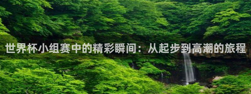 世界杯决赛预测：世界杯小组赛中的精彩瞬间：从起步到高潮的旅程