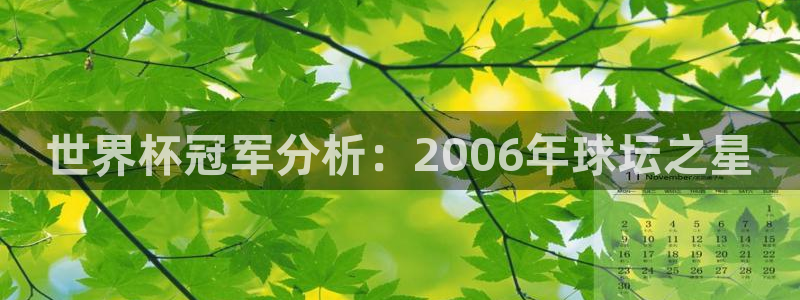 2026世预赛赛程：世界杯冠军分析：2006年球坛之星