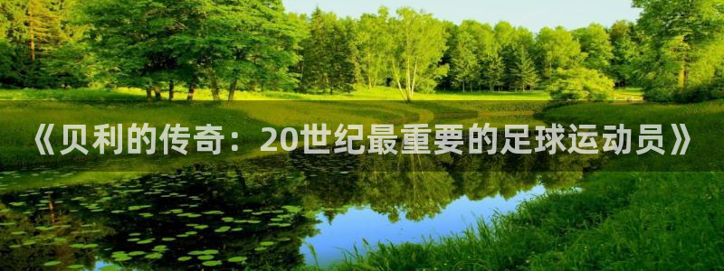 2006年世界杯：《贝利的传奇：20世纪最重要的足球运动员》