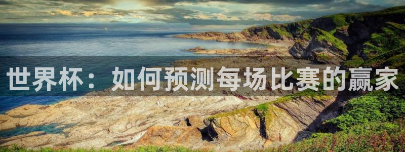 世界杯预选赛亚洲：世界杯：如何预测每场比赛的赢家