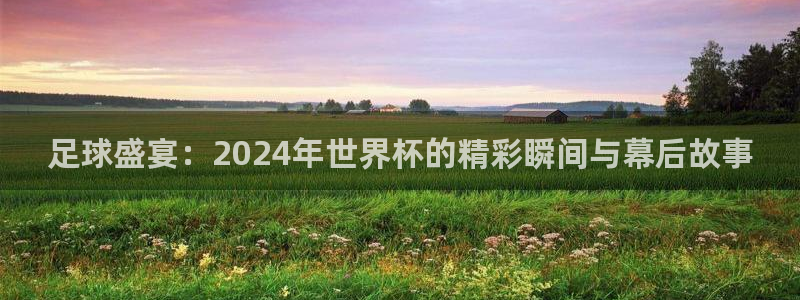 世界杯足球赛：足球盛宴：2024年世界杯的精彩瞬间与幕后故事