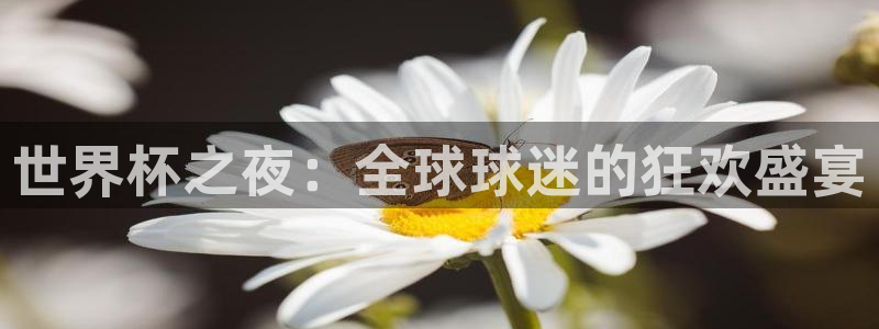世界杯足球赛2026赛程时间：世界杯之夜：全球球迷的狂欢盛宴
