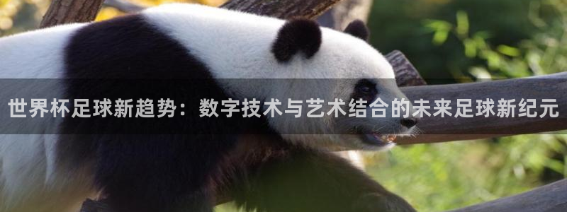 世界杯球赛：世界杯足球新趋势：数字技术与艺术结合的未来足球新纪元
