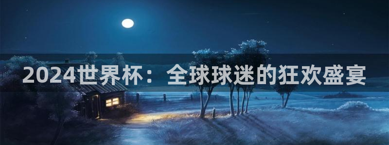 世界杯2026赛制：2024世界杯：全球球迷的狂欢盛宴