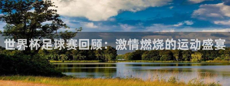 足球世预赛：世界杯足球赛回顾：激情燃烧的运动盛宴