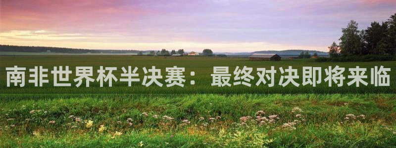 世界杯赛程2026：南非世界杯半决赛：最终对决即将来临